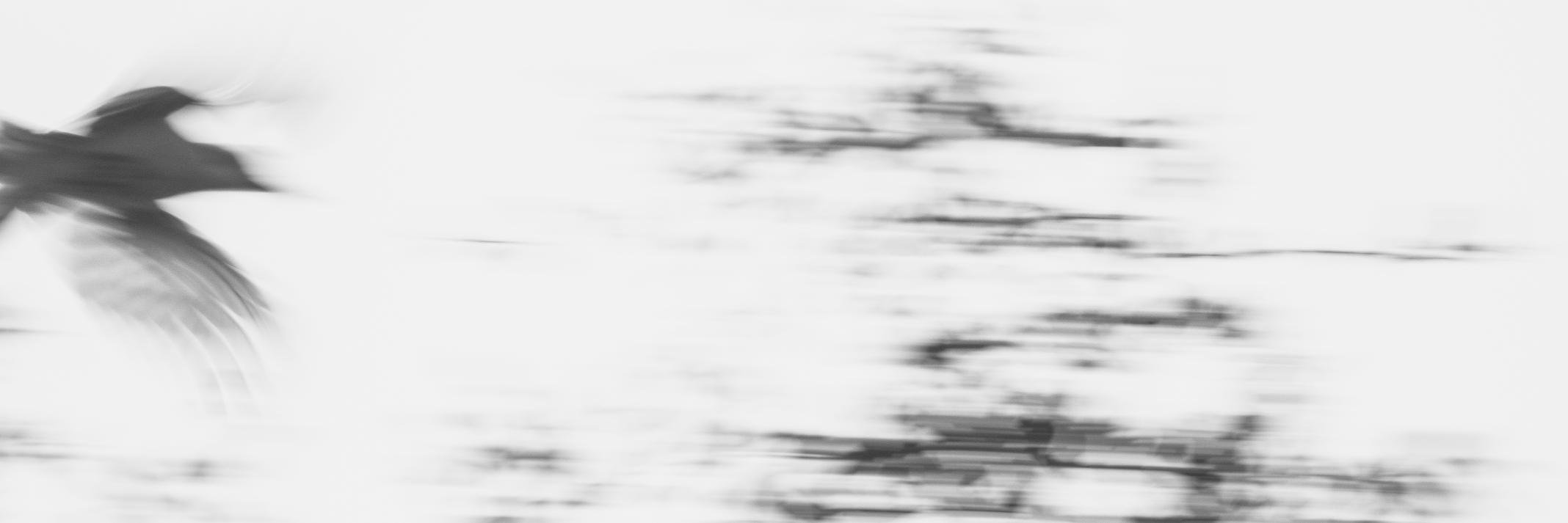 ricky_1102's profile banner image