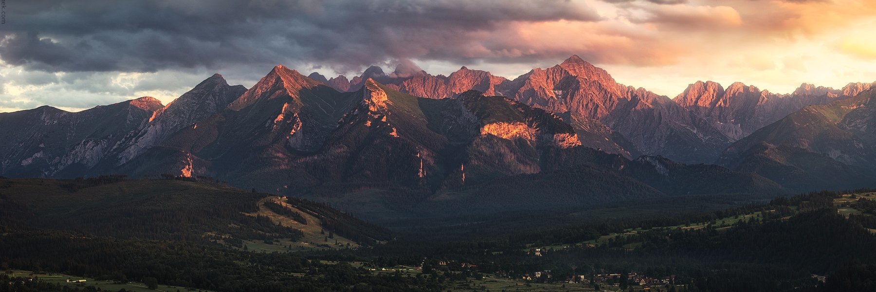 Daniel Mroczka banner