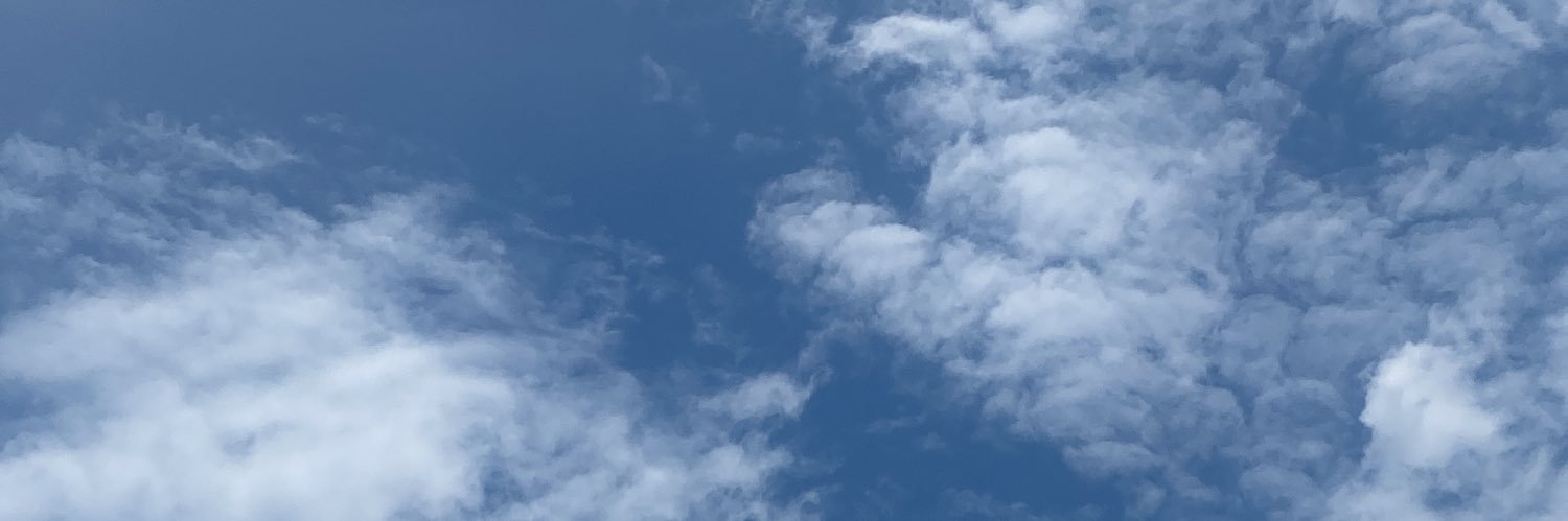 shutupcarol's profile banner image