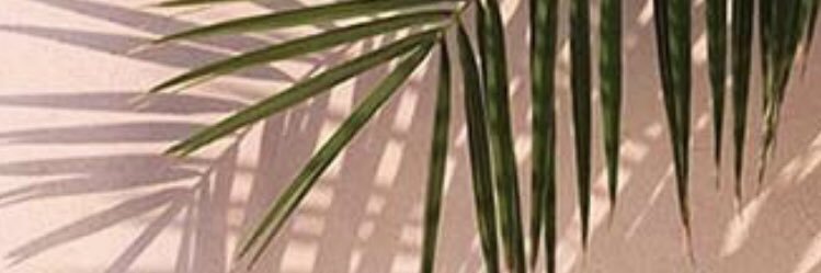 tracy1ellis's profile banner image