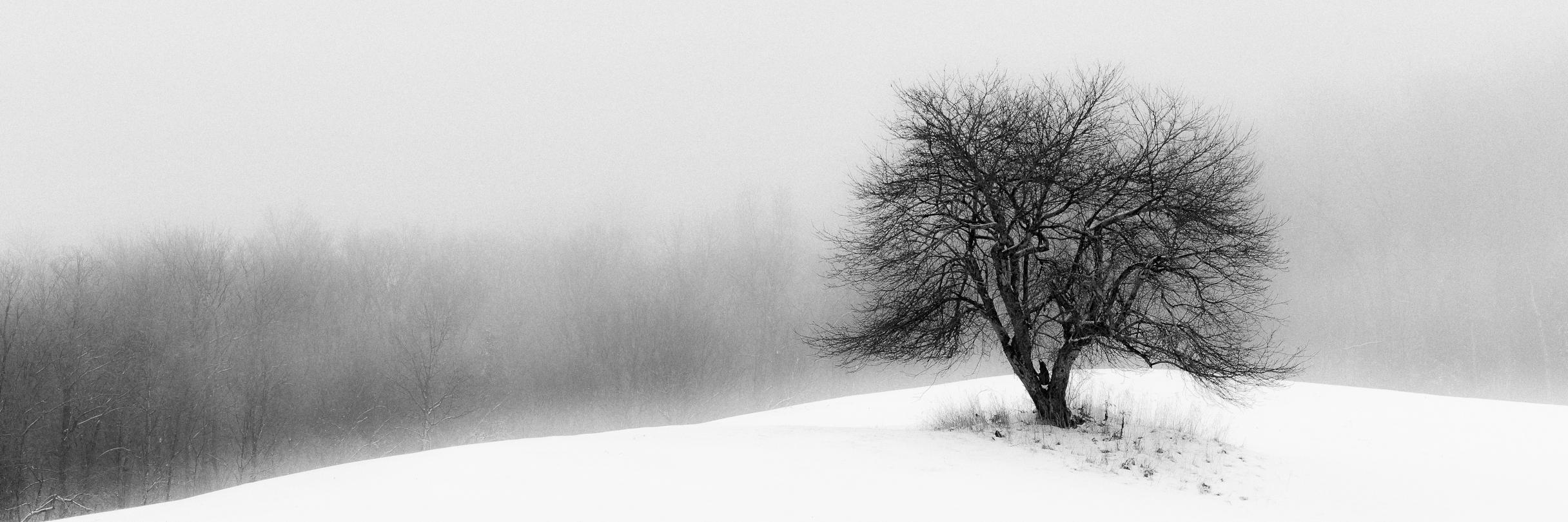 jerichohillspix's profile banner image