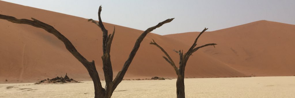 James Sherwin-Smith banner