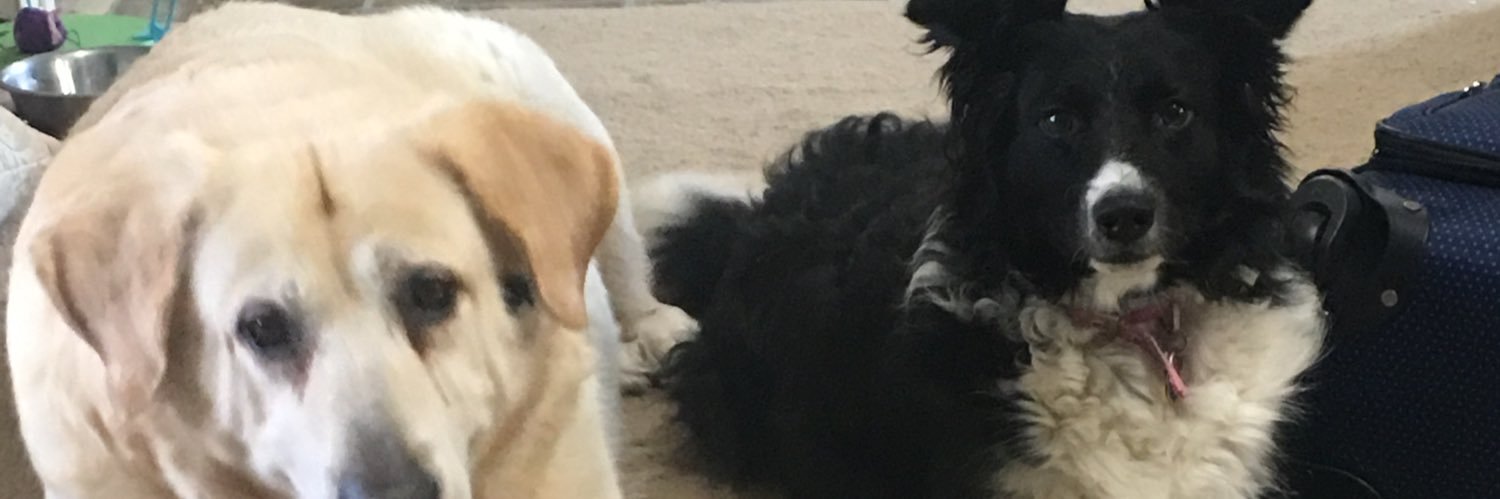 scowha7's profile banner image