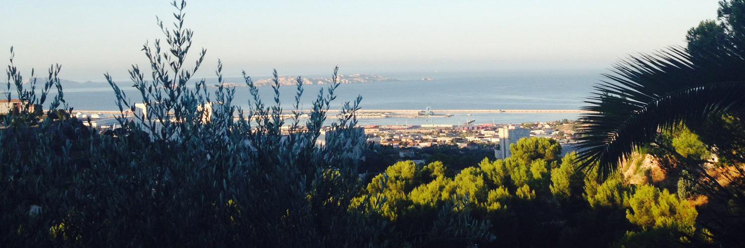 Charlotte Martinez banner