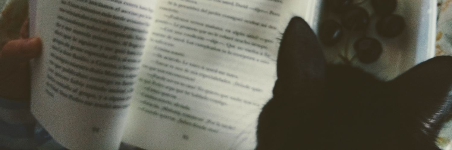 Adrianalonu's profile banner image