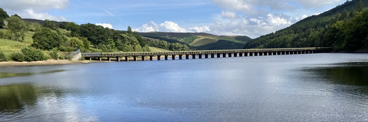 Victoria 🌹 banner