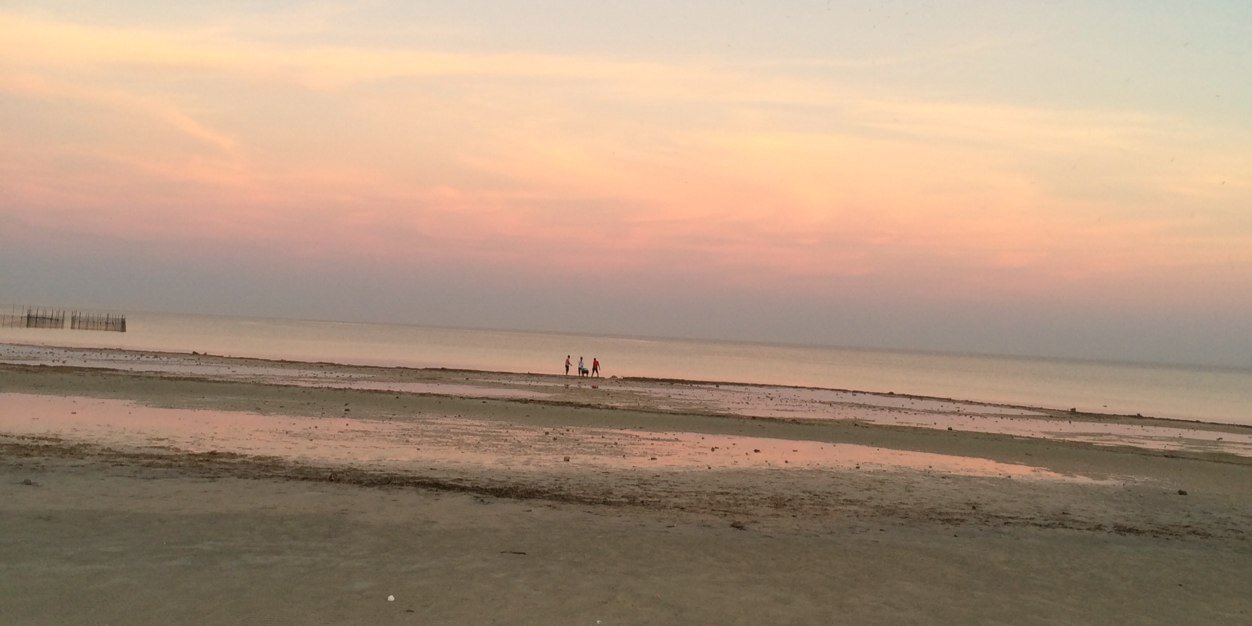 Al3noodH__'s profile banner image
