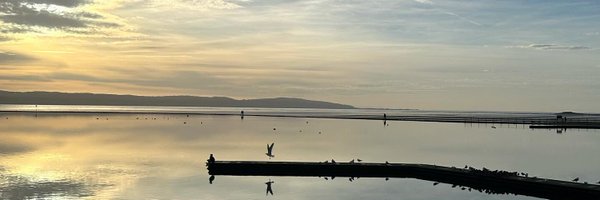 Kate Ardern Profile Banner