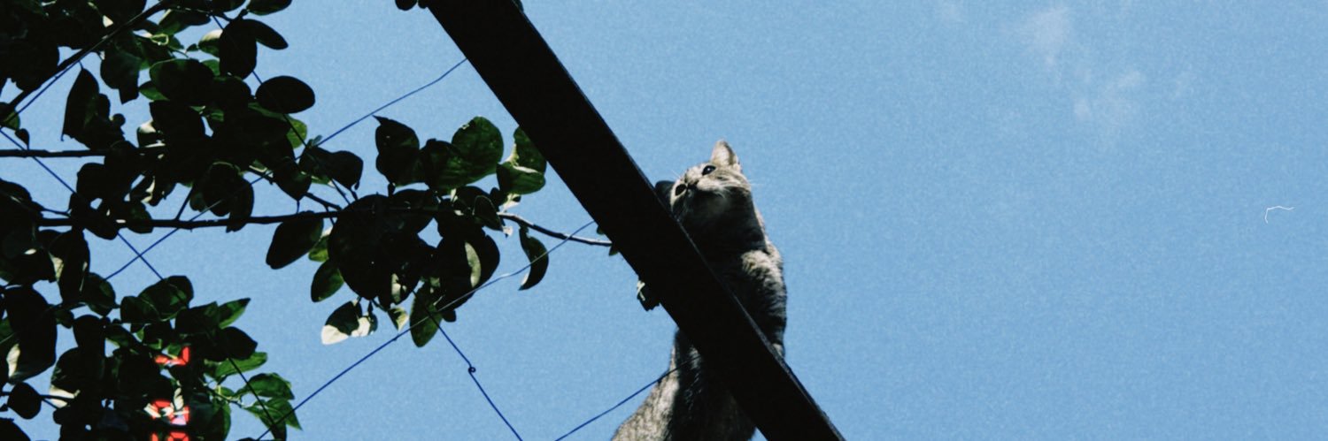 A banner