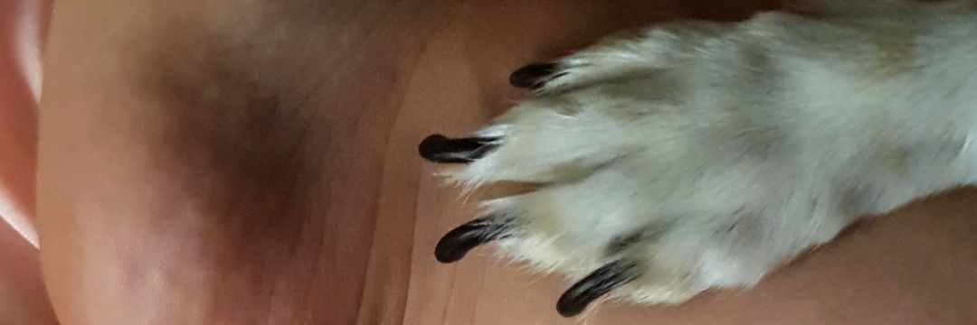 _olgagm_'s profile banner image