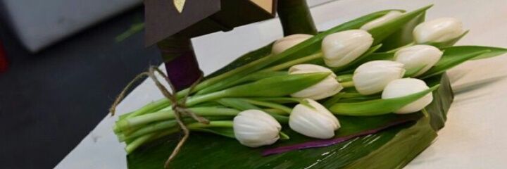 Esraa898's profile banner image