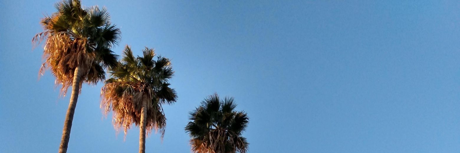 justindawsonnn's profile banner image