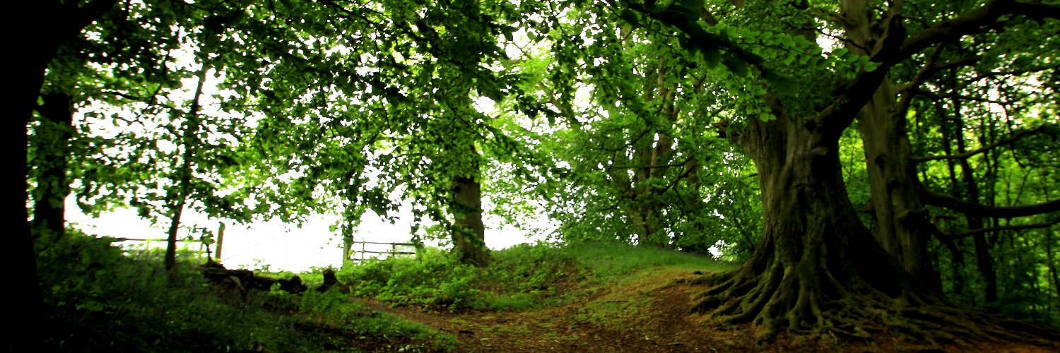 MadMatski's profile banner image