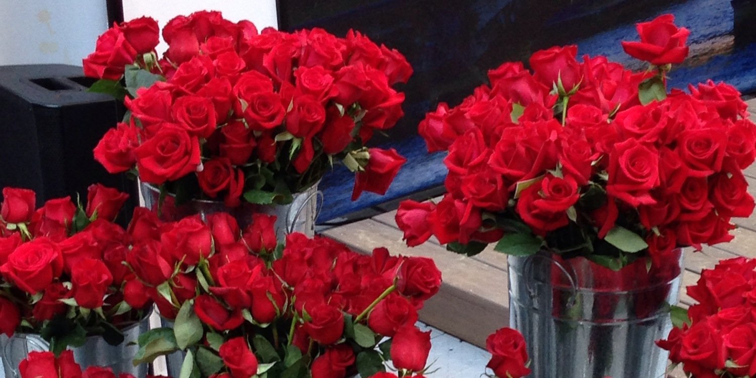 Nanette C. Heide banner