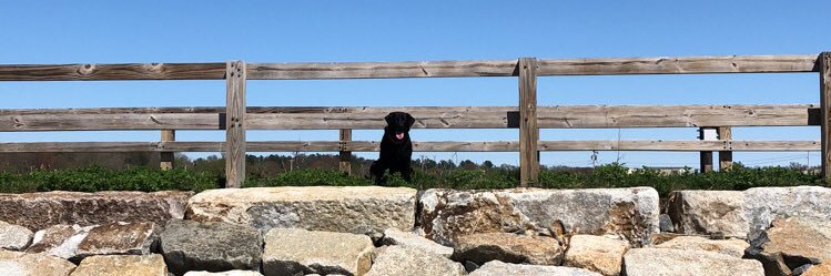 Kallenn15's profile banner image