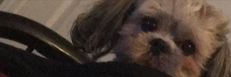 pbodi_2's profile banner image
