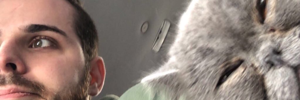 wmcaplinger's profile banner image