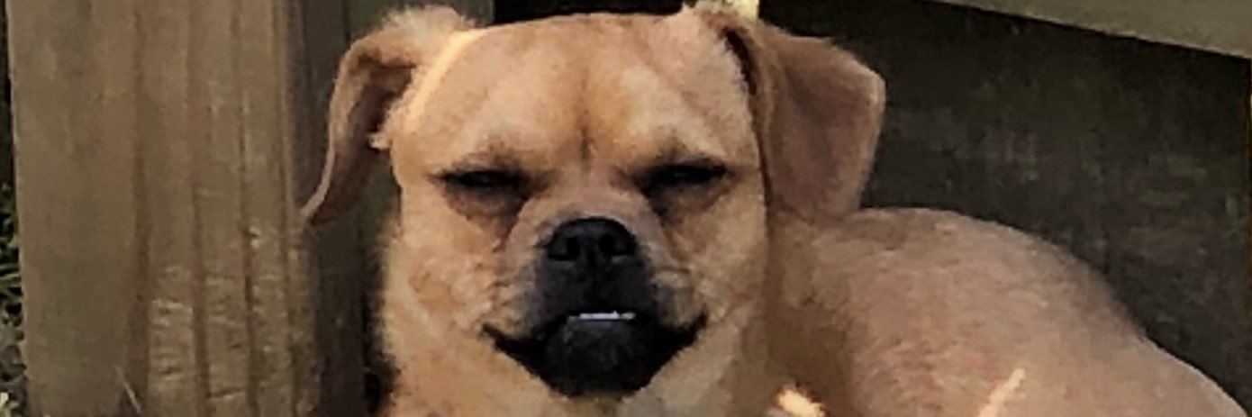 OGKingpin's profile banner image