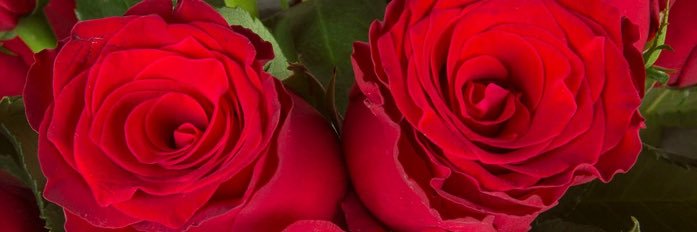 Katty_gn's profile banner image