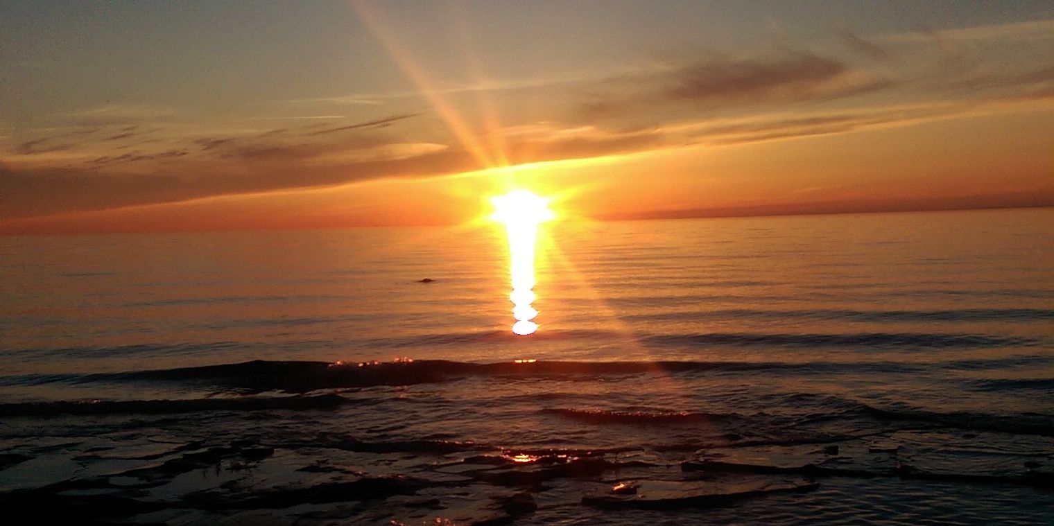 GabbyKyllonen's profile banner image