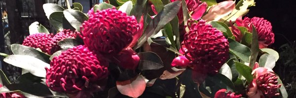 coffeemiss Profile Banner