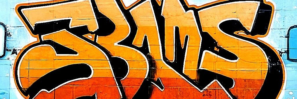 Mr Manana, Thando Sbams. banner