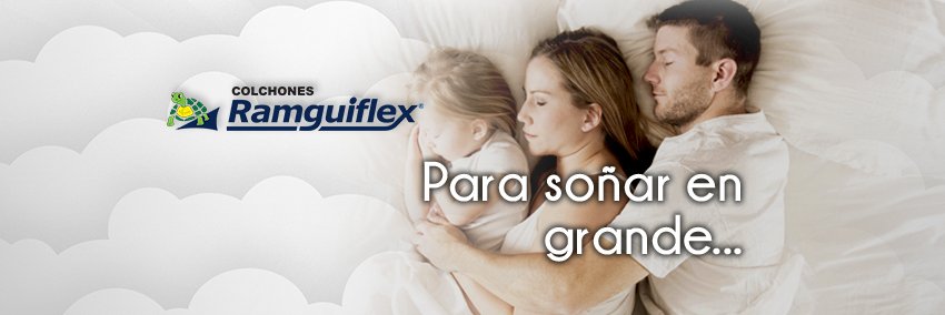 Ramguiflex's profile banner image
