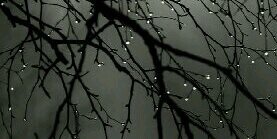 Drooo1405's profile banner image