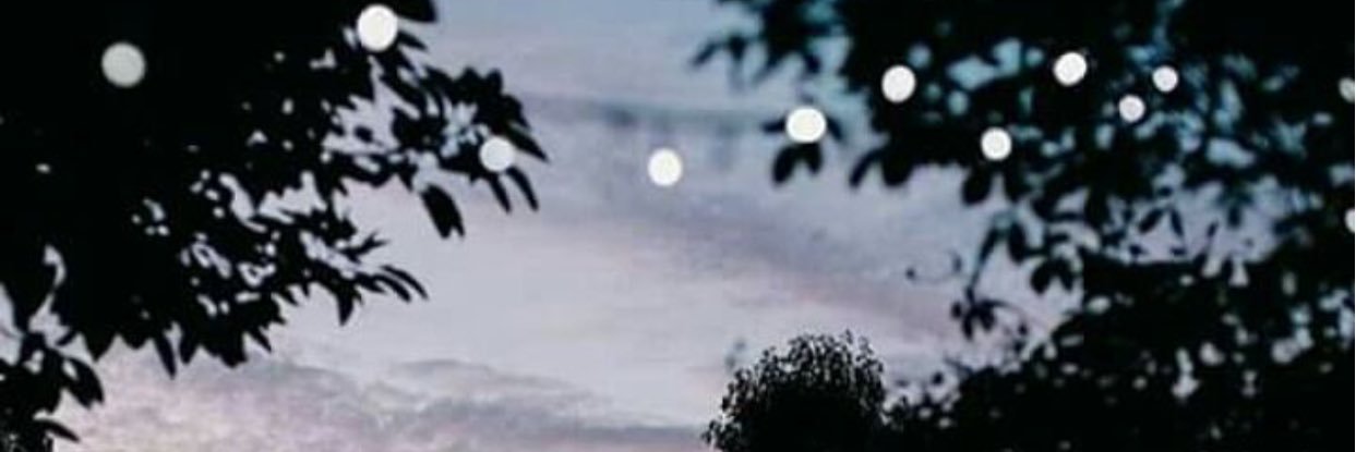 Riritame's profile banner image