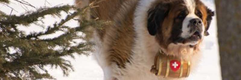 Mike Fatah banner