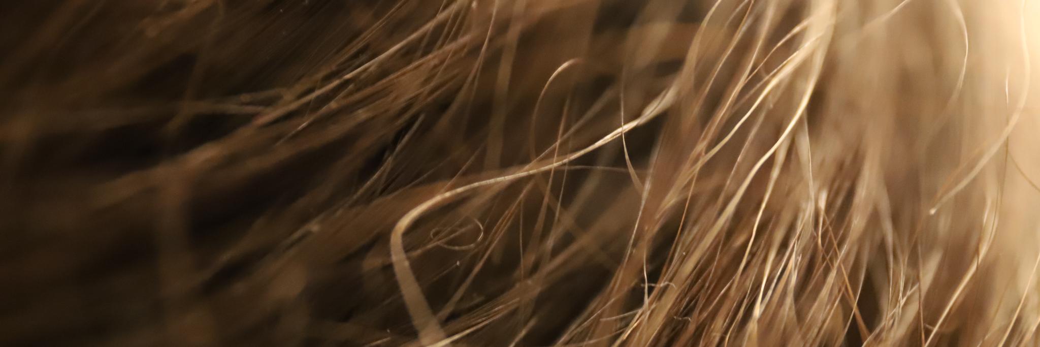 Luvi Ama banner