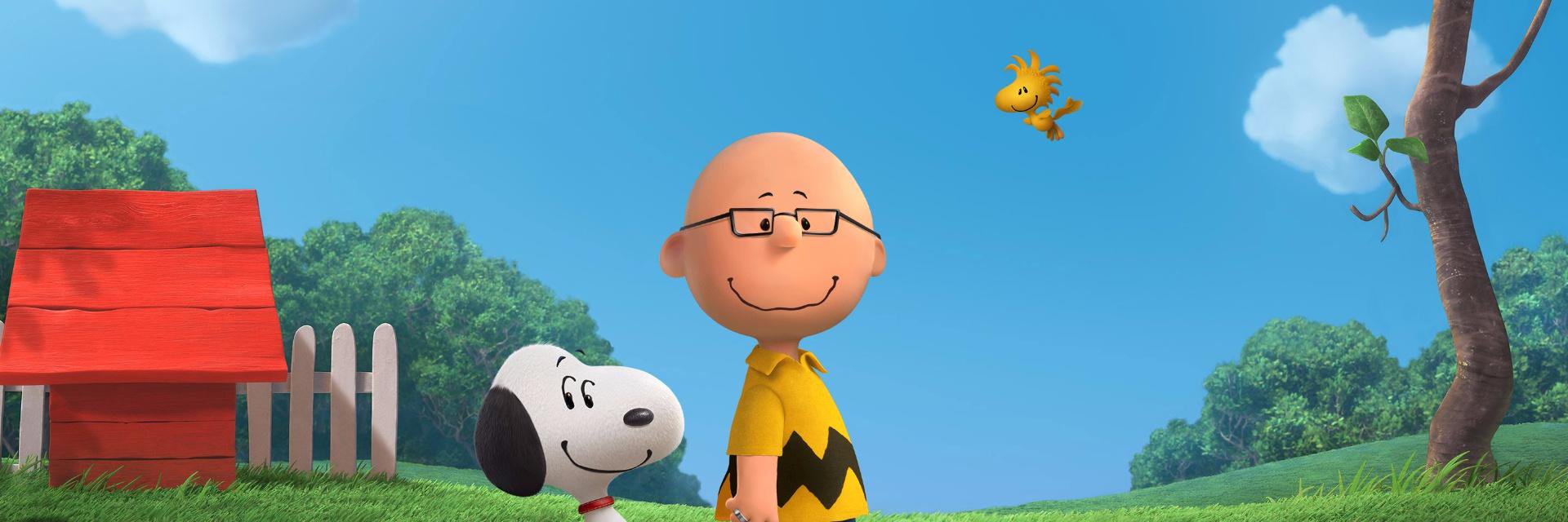 qwack63's profile banner image