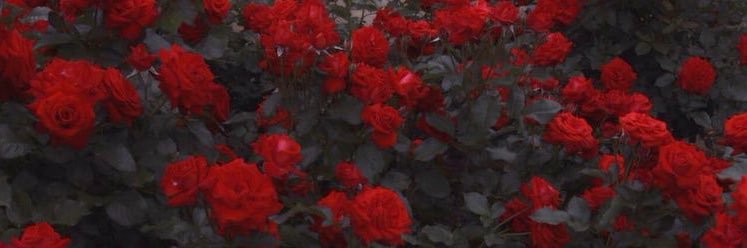 Itzy 🏹 ❤️‍🔥 banner