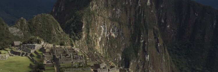 Ninnicer's profile banner image