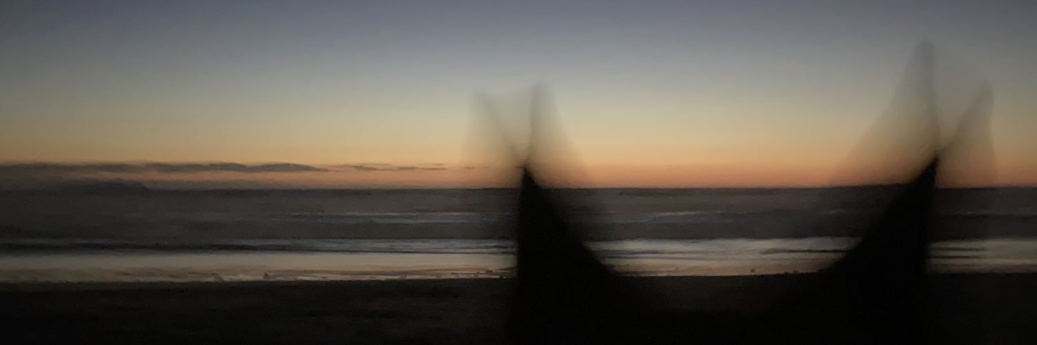 ppausolo's profile banner image