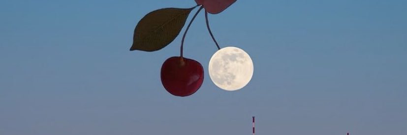zosno6's profile banner image