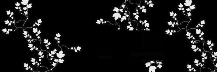 ShariAlani's profile banner image