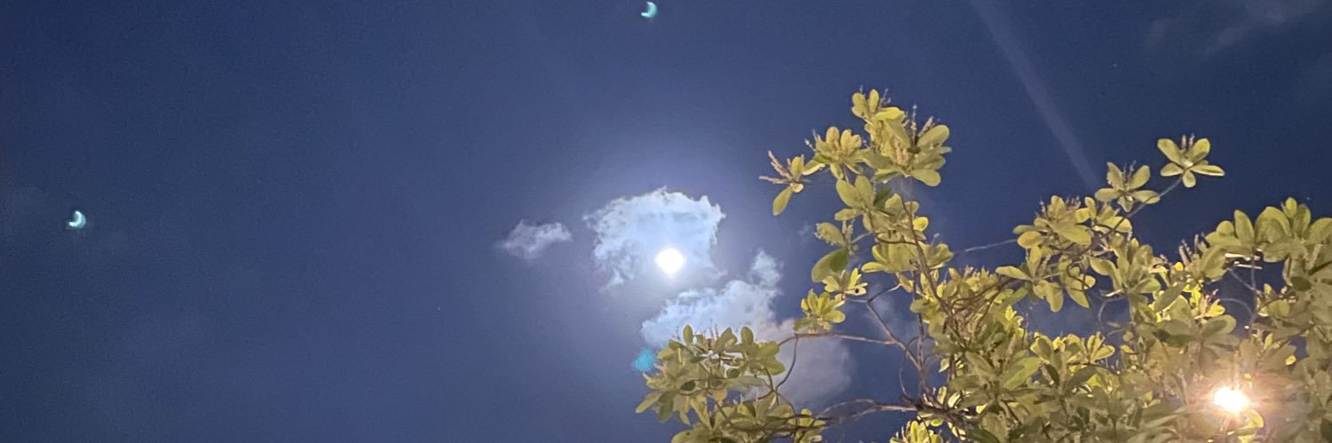 Monyar15's profile banner image