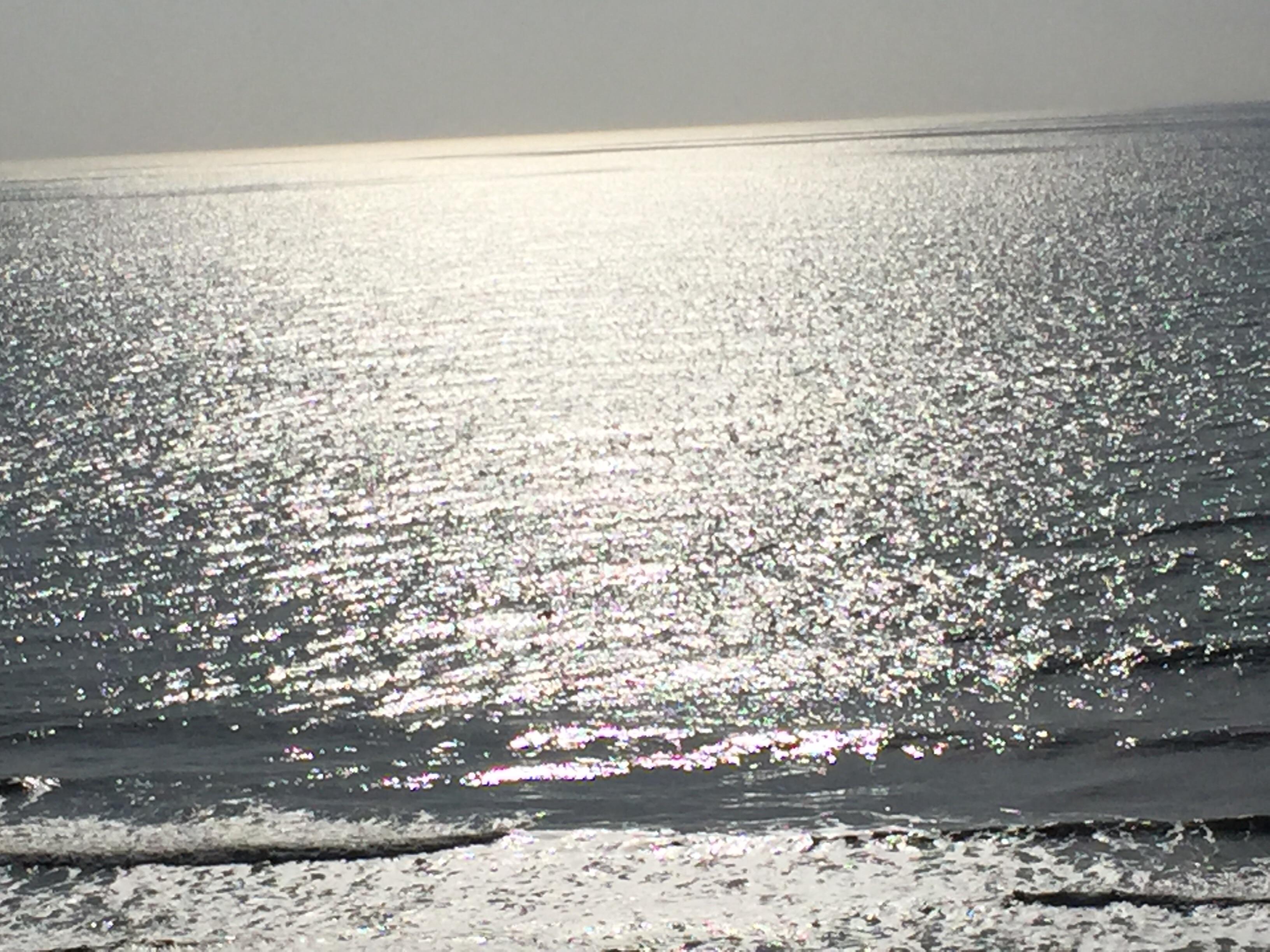 Bhood800's profile banner image