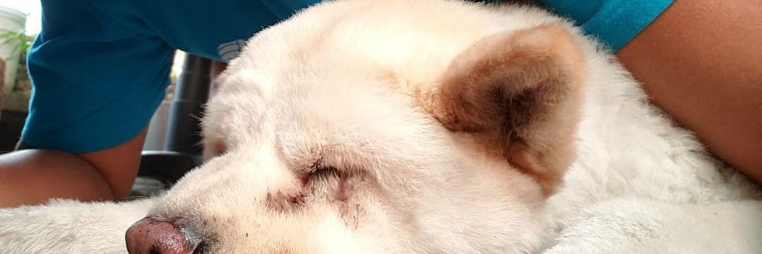 Lizbarrancom's profile banner image