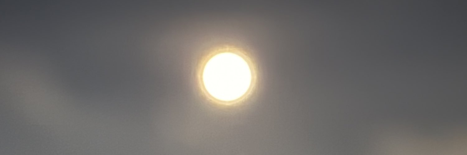 lealpeep's profile banner image