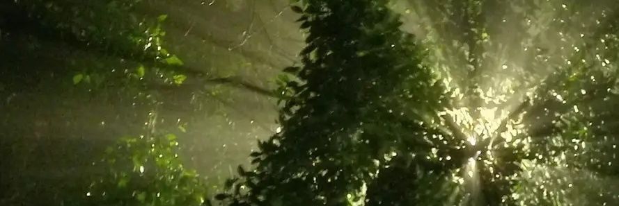 Enmaponce7's profile banner image