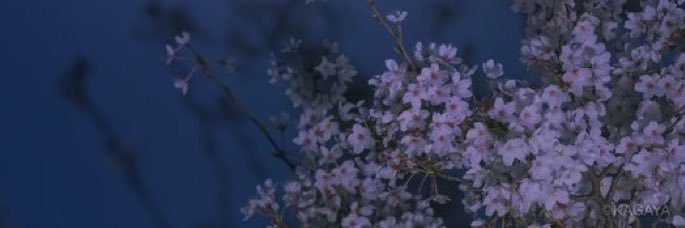 1004hilko's profile banner image