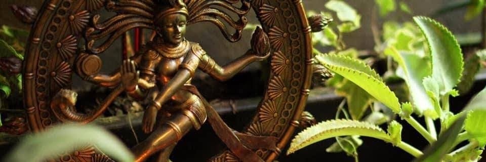 AnimalitoRec's profile banner image