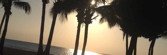 TarahDeYoung's profile banner image