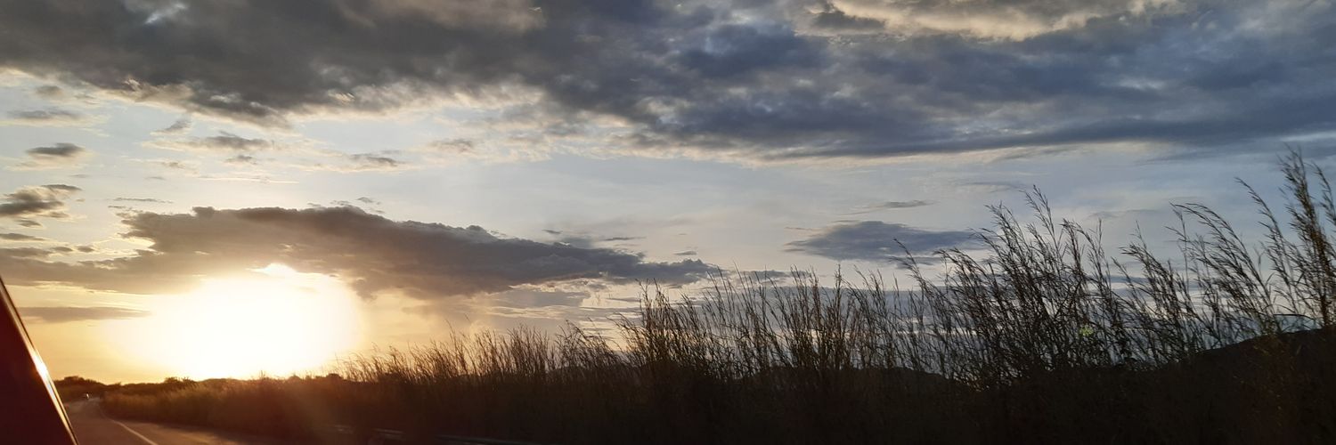 g_yarii's profile banner image