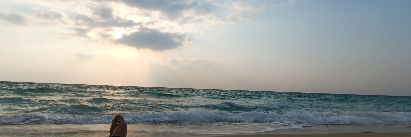 Mostafa Bahram banner