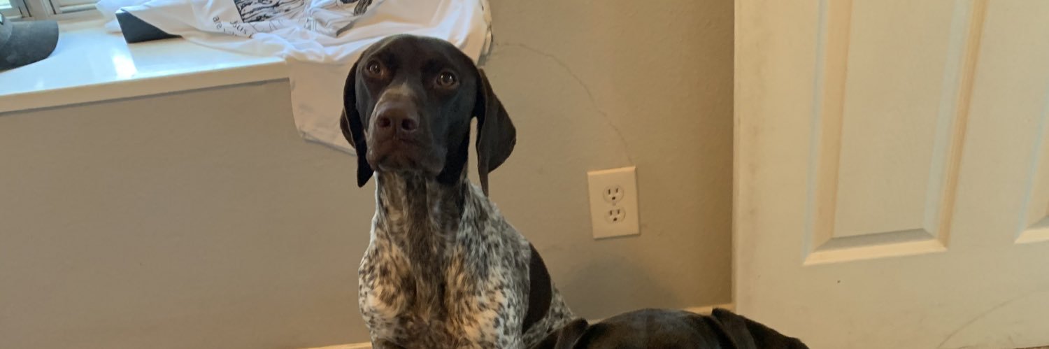 RyanMajewski1's profile banner image