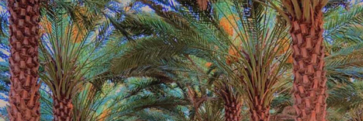 HCRZY1's profile banner image