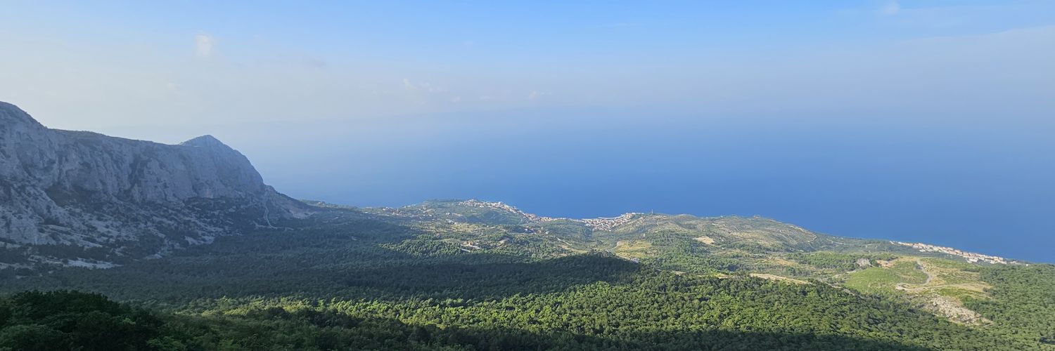 Andrew Smart banner